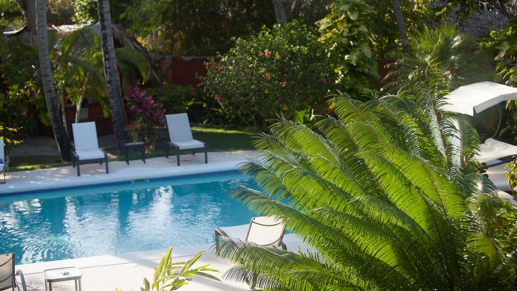 Eva Luna Villas Las Terrenas Ngoại thất bức ảnh